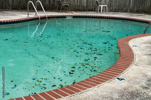 Dirty pool sits unattended covered in leaves
