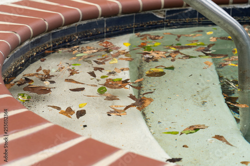 Dirty pool sits unattended covered in leaves