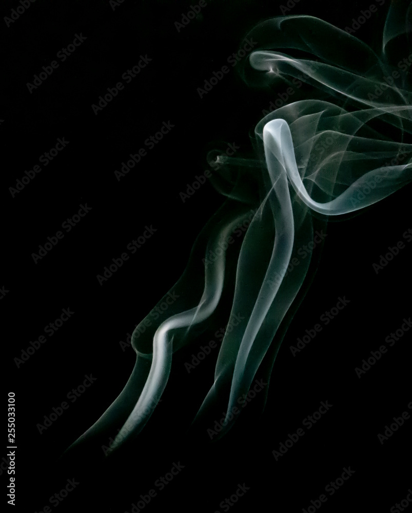 Fototapeta premium Abstract Smoke Background