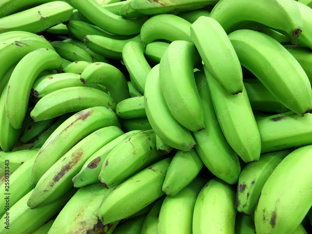 Background of fresh green plantain bananas closeup