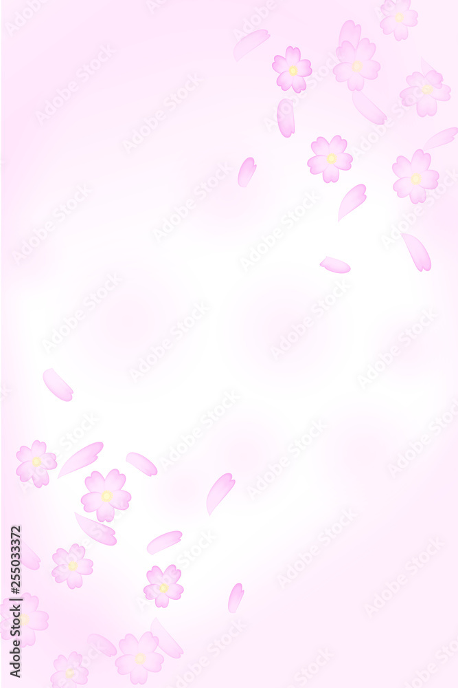 Background material that Sakura Fubuki dances.  桜吹雪が舞う背景素材