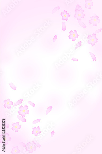 Background material that Sakura Fubuki dances. 桜吹雪が舞う背景素材