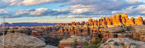 Bild auf Leinwand Golden Hour Elephant Canyon Needles Panorama