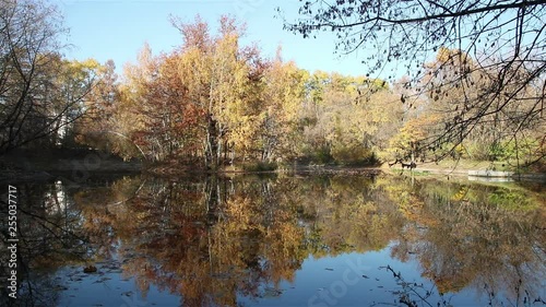 Autumn pond and light a wind moving fallen leaves