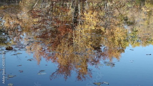 Pond reflections and a blue sky on a sunny day in fall