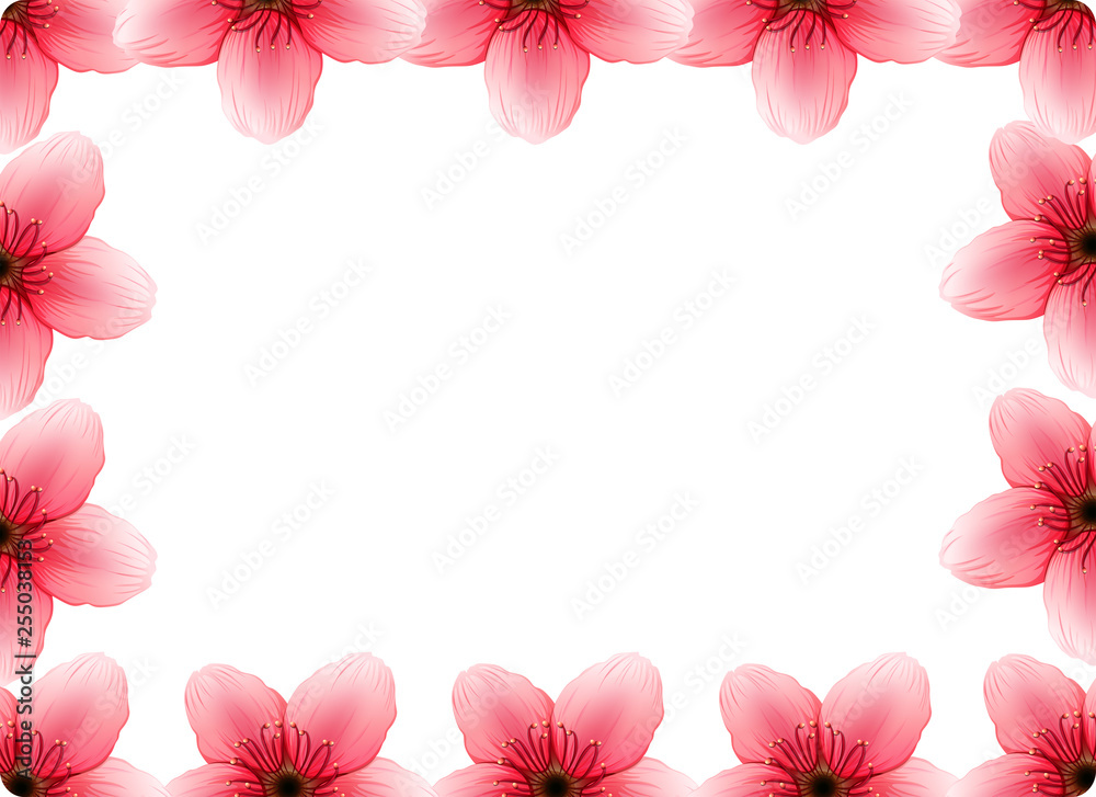 A cherry blossom frame