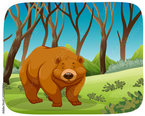A grizzly bear in forest