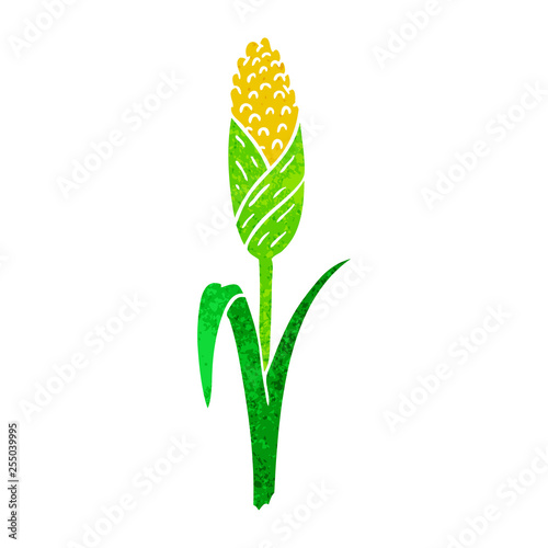 retro cartoon doodle of fresh corn on the cob