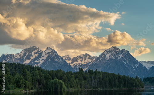 Tetons and Pine Trees Across Jackson Lake © kellyvandellen