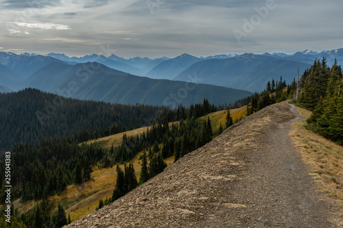 Trail Along the Ridge in Washington Wilderness