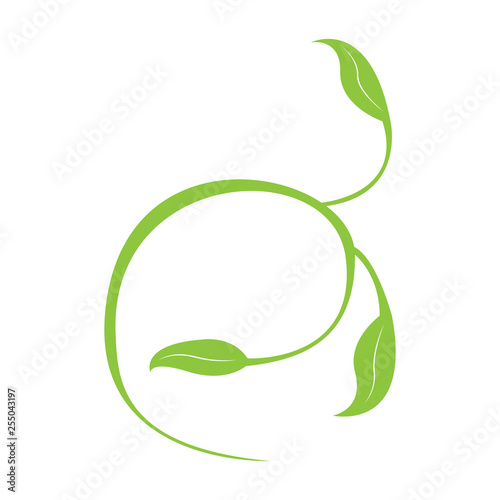 Isoalted leaves icon. Spa logo. Vector illustration design
