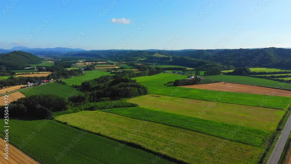 Flying over rural Japan and fields of crops on a sunny day. Flying over rural Japan and fields of crops on a sunny day.