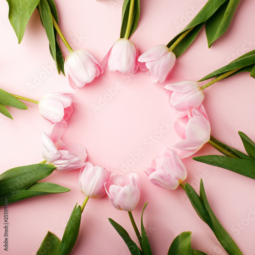 Fototapeta Naklejka Na Ścianę i Meble -  Pastel pink tulip flowers bouquet round border on pink background. Flat lay, top view. Minimal floral springtime flatlay concept