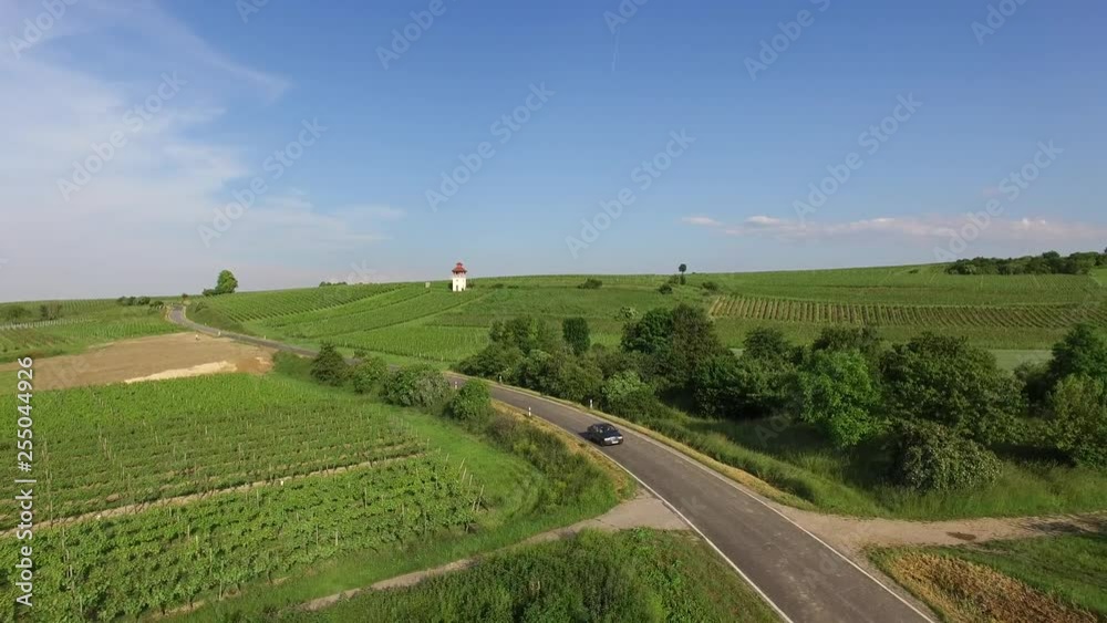 Aerial view flying over vineyards in the countryside following an old car driving on windy back road. Wide shot in 4k. Aerial view flying over vineyards in the countryside following an old car driving on windy back road. Wide shot in 4k.