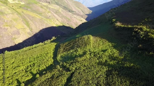 Aerial of the sunny side of grassy foothills in Ecuador