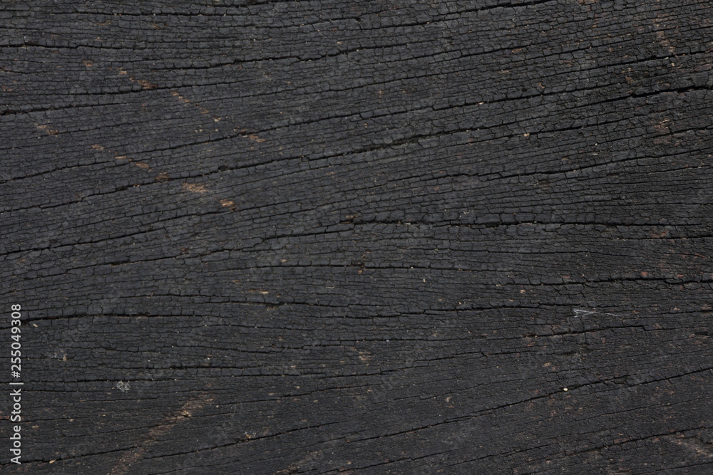 Fototapeta premium Brown Wooden Texture
