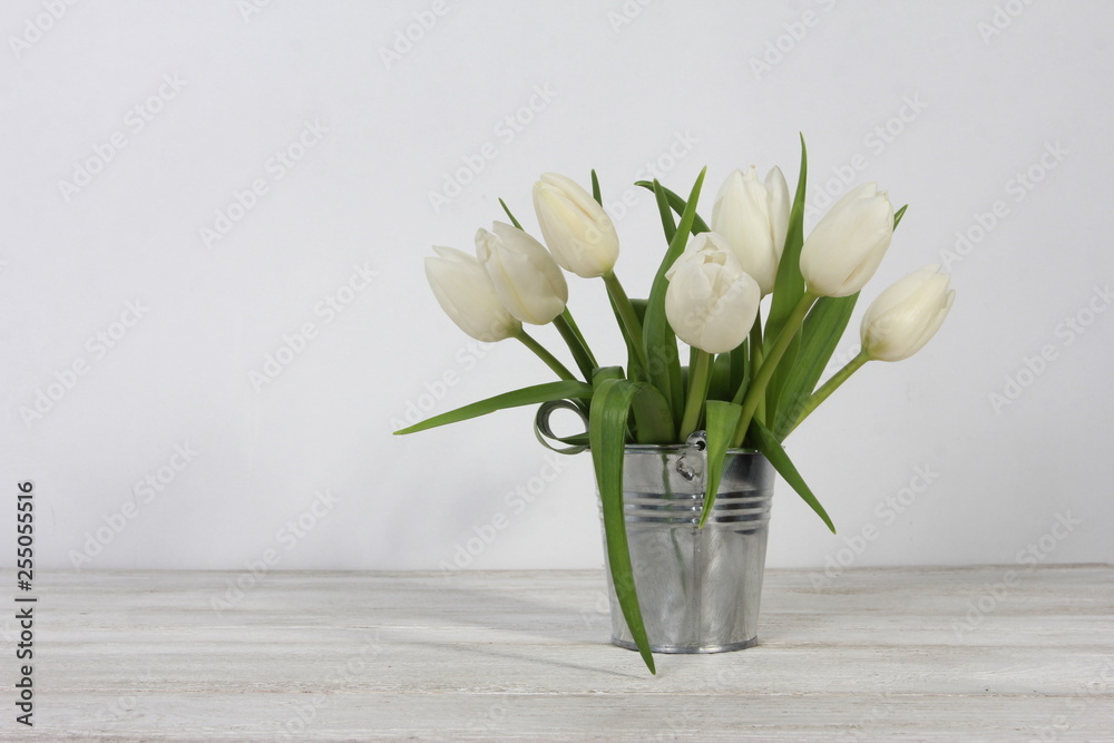 Bunch of white tulips in tin bucket on white wooden table. Spring concept. Springtime, women or mothers day, copy space, spring background Bunch of white tulips in tin bucket on white wooden table. Spring concept. Springtime, women or mothers day, copy space, spring background