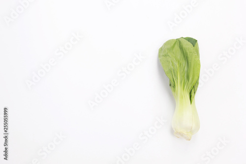 choy sum isolated white background