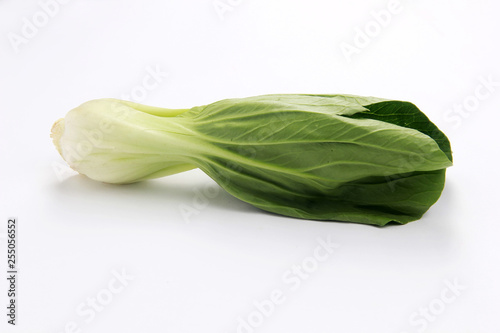 choy sum isolated white background