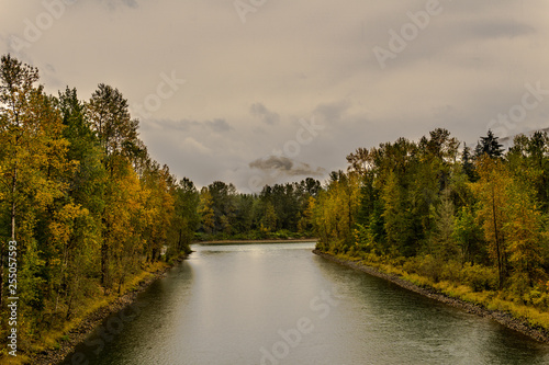 baker river in a forest at autumn rainy day cloudy sky near Concrete Washington USA.