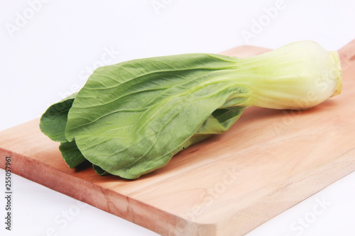 choy sum isolated white background