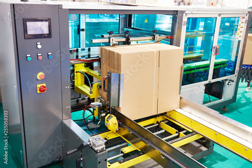 Automatic molder of cardboard boxes