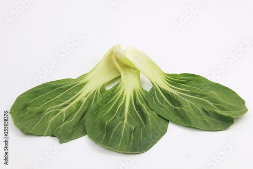 choy sum isolated white background