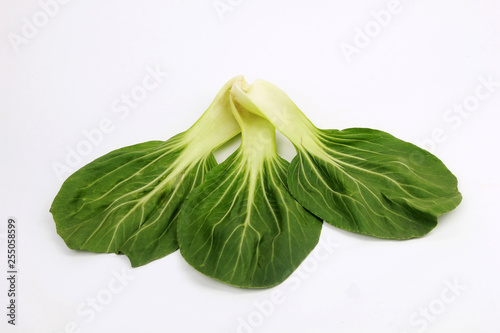 choy sum isolated white background