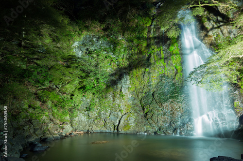Fototapeta Naklejka Na Ścianę i Meble -  Beautiful Minoh waterfall with light up in summer.
