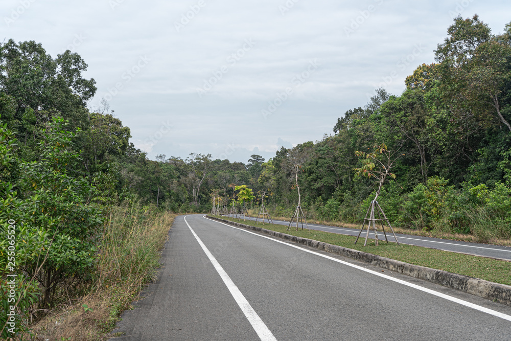 Fototapeta premium road in Phu Quoc