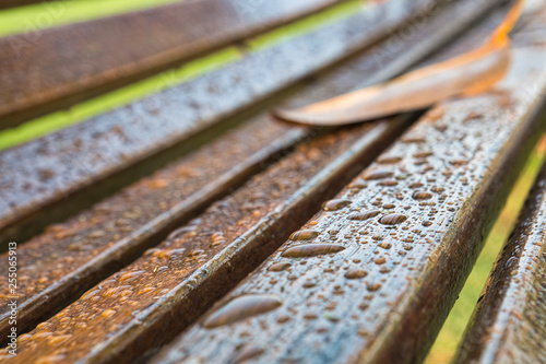 Wooden bench with droplets of water and a dry leaf
