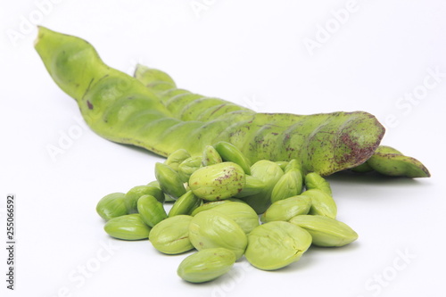 Parkia speciosa seeds or bitter bean on white background