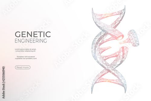 DNA polygonal genetic engineering abstract background. The isolated concept of medical science, genetic biotechnology consists of low poly wireframe, geometry triangle, lines, dots, polygons, shapes.
