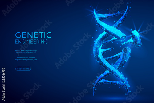 DNA polygonal genetic engineering abstract background. The isolated concept of medical science, genetic biotechnology consists of low poly wireframe, geometry triangle, lines, dots, polygons, shapes.