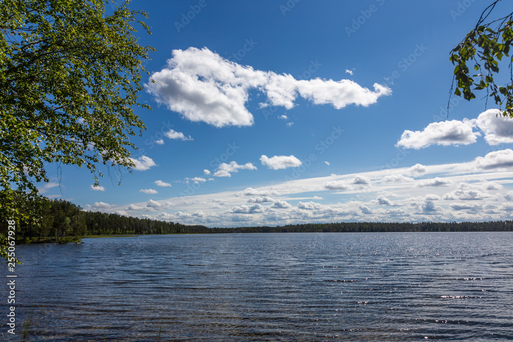 Scenic view of Lake Tulmozero under a blue sky with clouds, Karelia. Russia