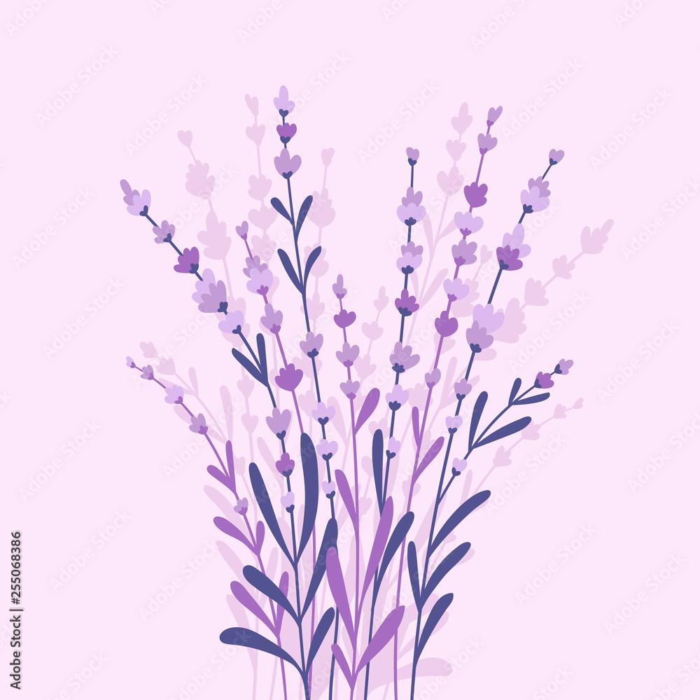 Beautiful and elegant lavender buds on the purple background. Vector card design with flowers. 