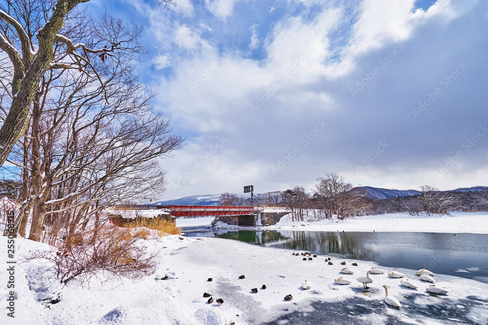 Beautiful landscape scenic of Konuma and Onuma lake during winter season at Onuma koen in Kameda district in Hokkaido, Japan.