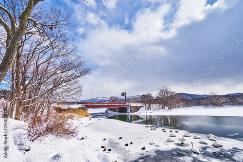 Beautiful landscape scenic of Konuma and Onuma lake during winter season at Onuma koen in Kameda district in Hokkaido, Japan.
