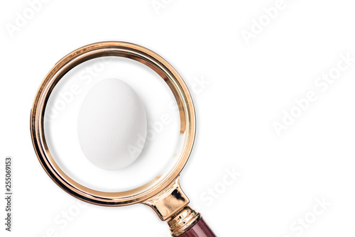 White egg in the magnifying glass. Food conccept