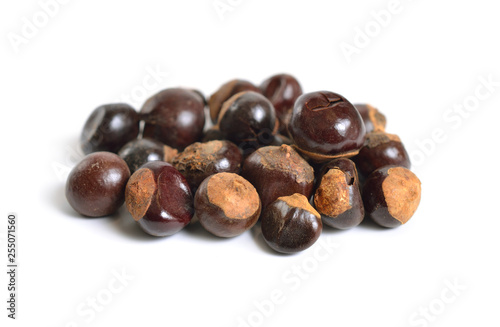 Guarana seed Paullinia cupana. Isolated on white background photo
