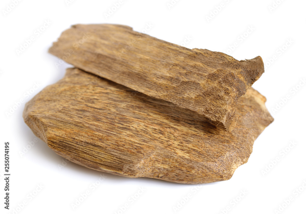 Agarwood, also called aloeswood oudh, isolated on white background Agarwood, also called aloeswood oudh, isolated on white background