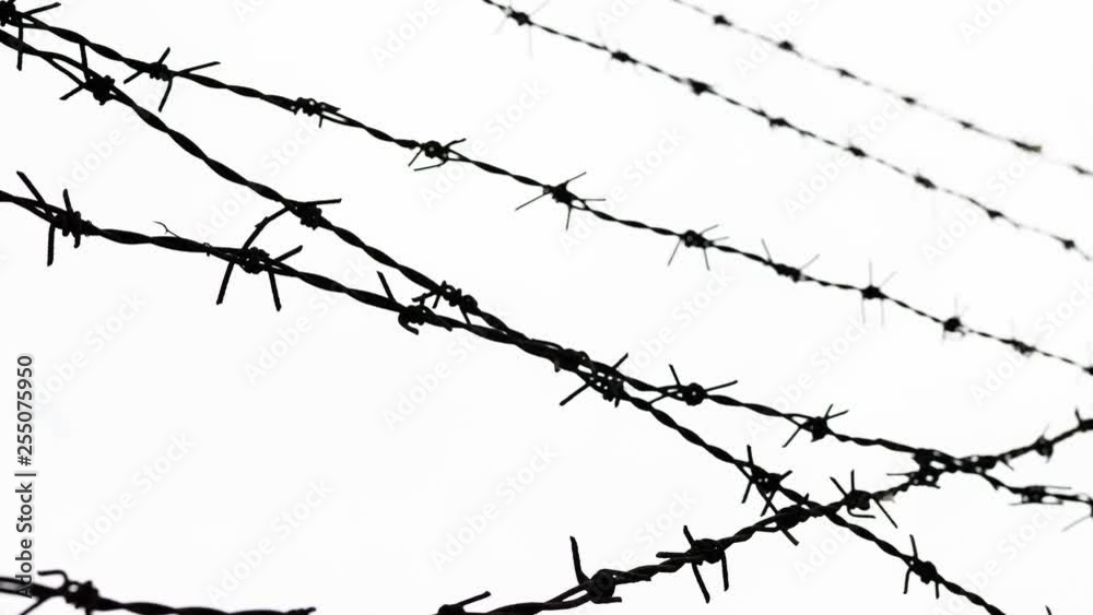 barbed wire - freedom barbed wire - freedom