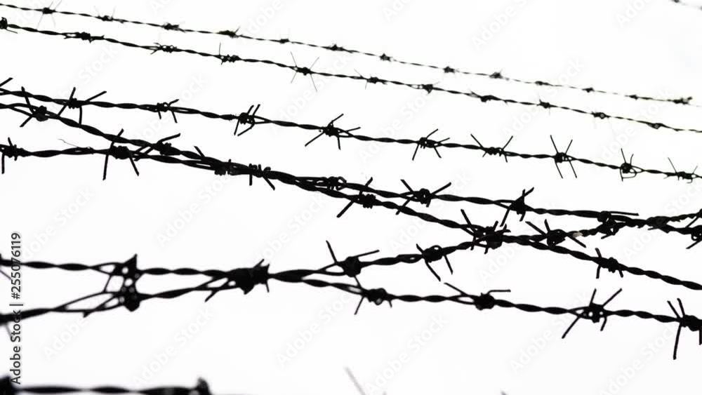 barbed wire - freedom