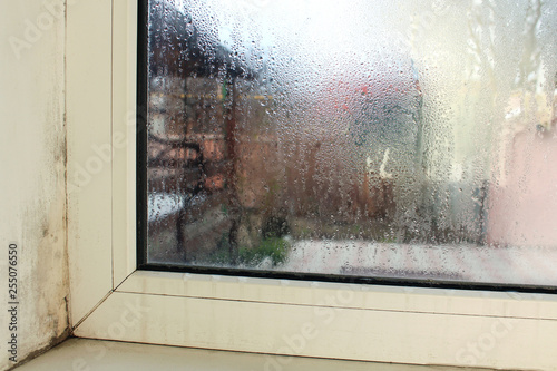 Fotografie Mold near a window in house. Condensation on window.