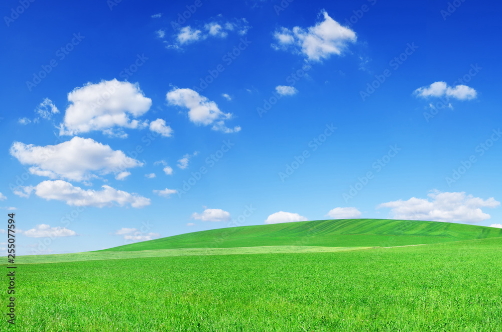 Idyllic view, green field and the blue sky with white clouds Idyllic view, green field and the blue sky with white clouds