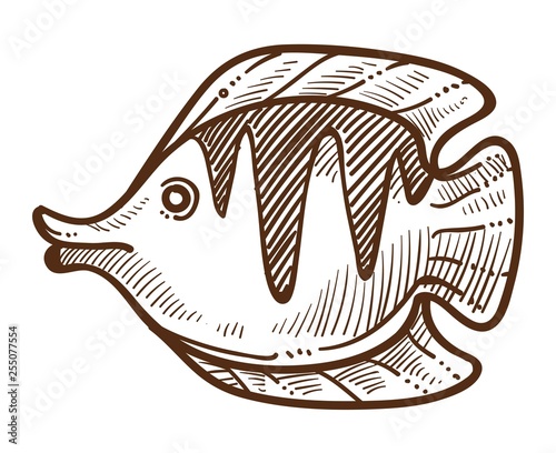 Fish flounder isolated sketch underwater animal with flippers
