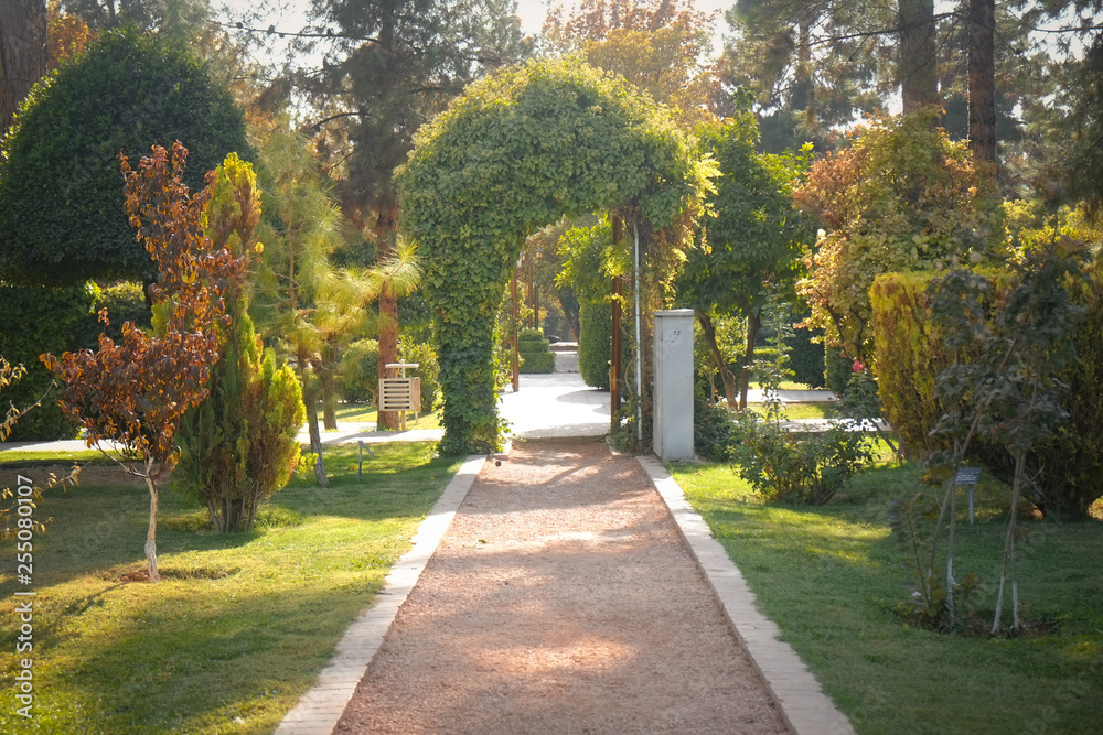 Morning sunlight shine on the Eram garden public park. UNESCO World Heritage Sites. Shiraz, Iran. Morning sunlight shine on the Eram garden public park. UNESCO World Heritage Sites. Shiraz, Iran.