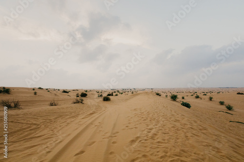 beautiful Arabian desert landscape