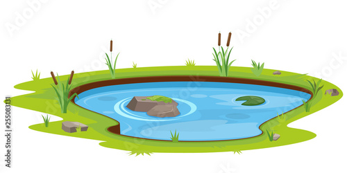 Natural pond outdoor scene photo