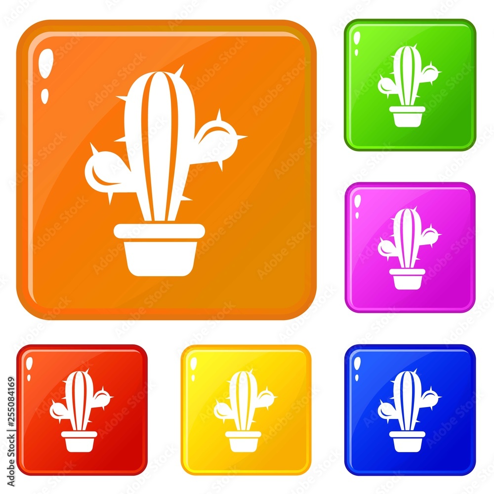 Fototapeta premium Domestic cactus icons set collection vector 6 color isolated on white background